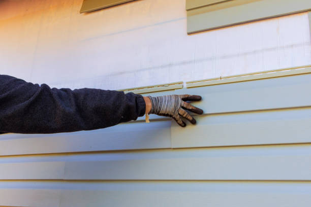 Affordable Siding Repair and Maintenance Services in Cedar City, UT